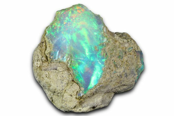 Brilliant Precious Ethiopian Fire Opal ( grams) #367311